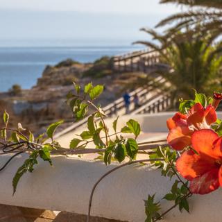 Algar Seco Parque | Carvoeiro, Algarve | view from the terrace on to carvoeiro boardwalk