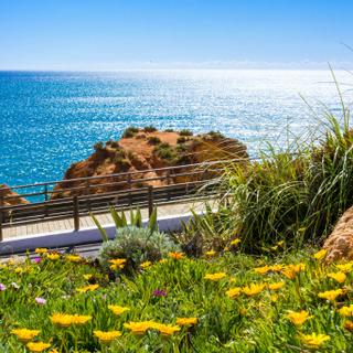 Algar Seco Parque | Carvoeiro, Algarve | view of ocean and garden with yellow flowers