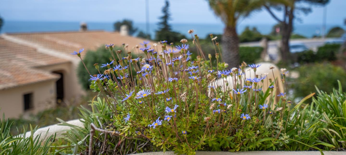 Algar Seco Parque | Carvoeiro, Algarve | 16